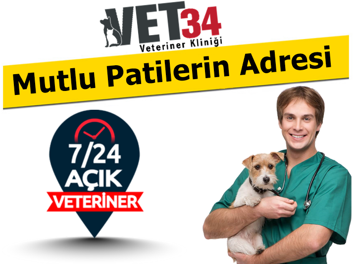 Vet34 Kartal 24 Saat Açık Nöbetçi Veteriner Kliniği